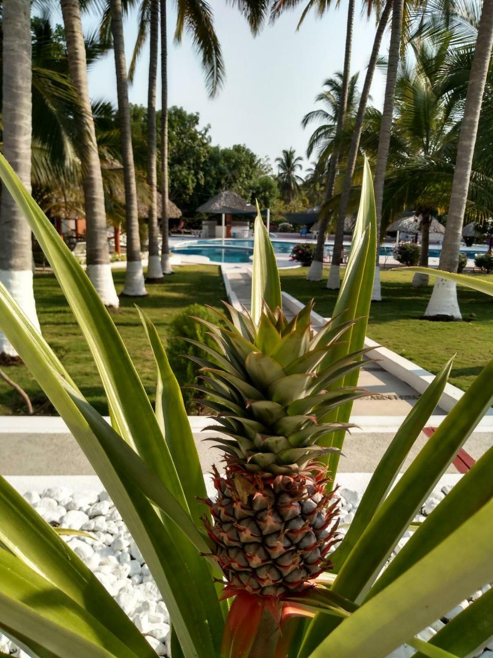 Hotel Y Club Campestre Altos Paraiso Puerto Escondido (Oaxaca) Exterior foto